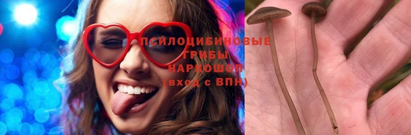 ПСИЛОЦИБИНОВЫЕ ГРИБЫ Няндома