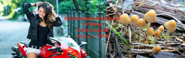 гашиш Беломорск