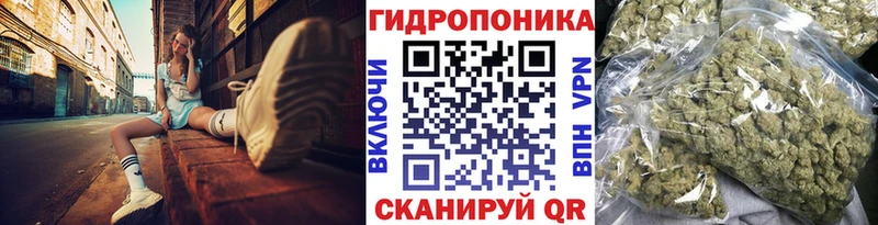сколько стоит  Заречный  Марихуана OG Kush 